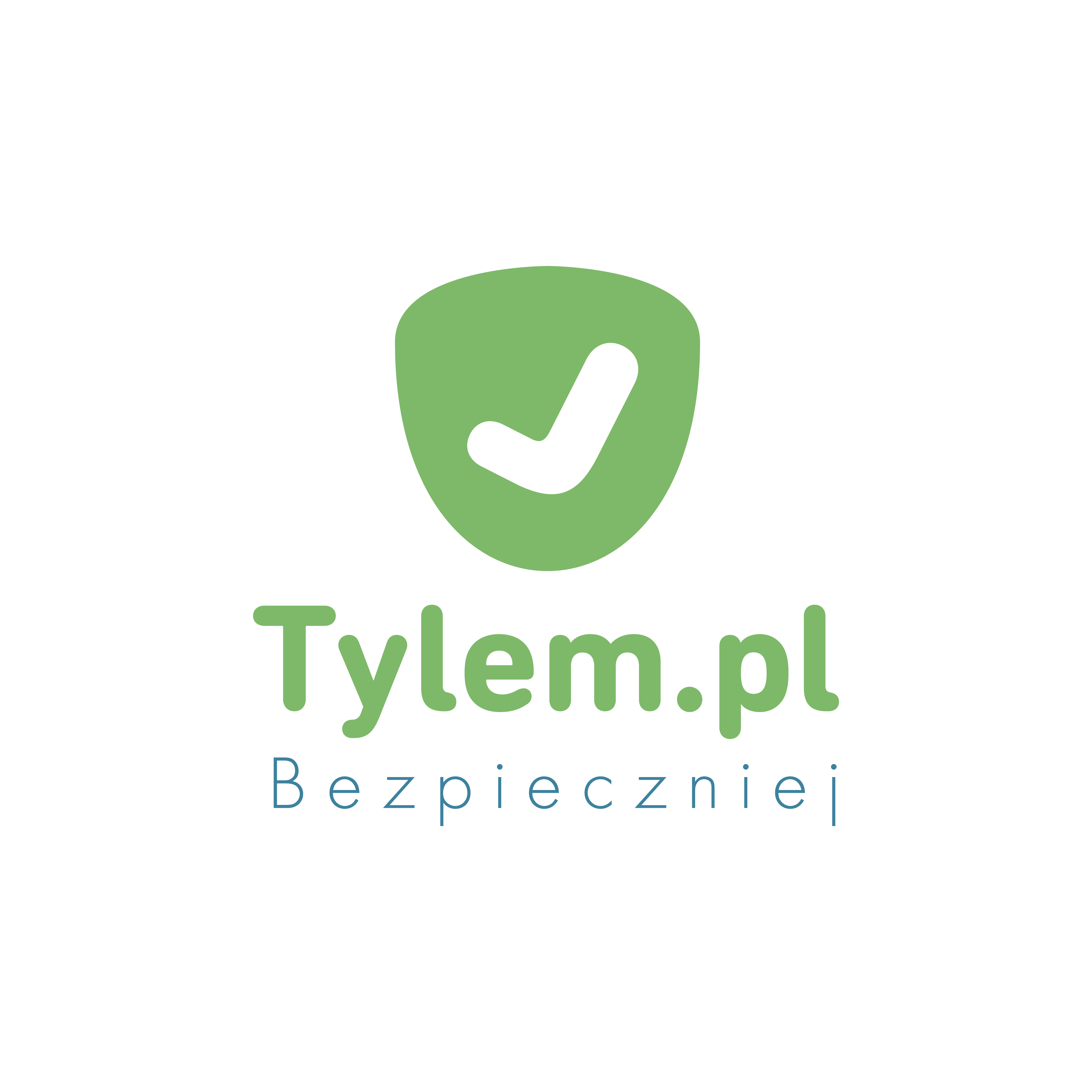 Fotelik do samochodu - Tylem